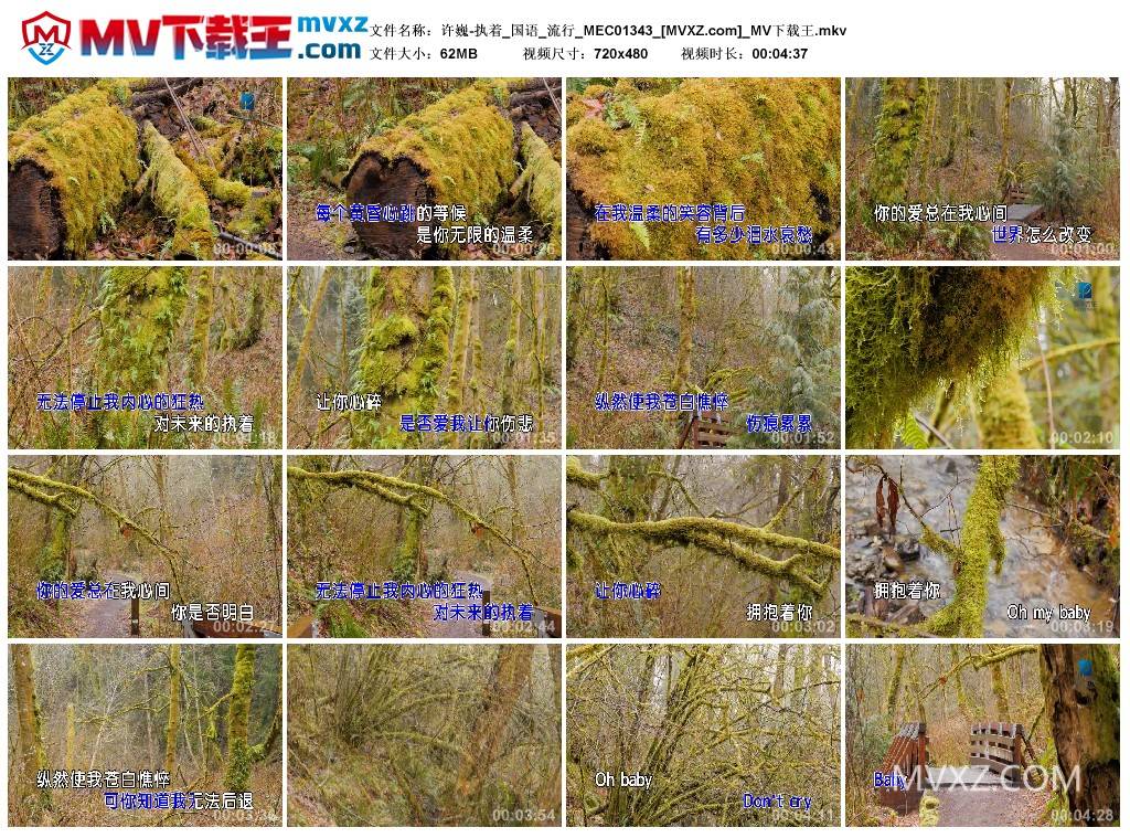 许巍-执着_国语_流行_MEC01343